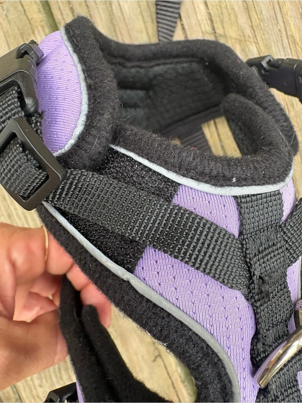 Angel Lavender Padded Harness and Leash Set for Small Pets